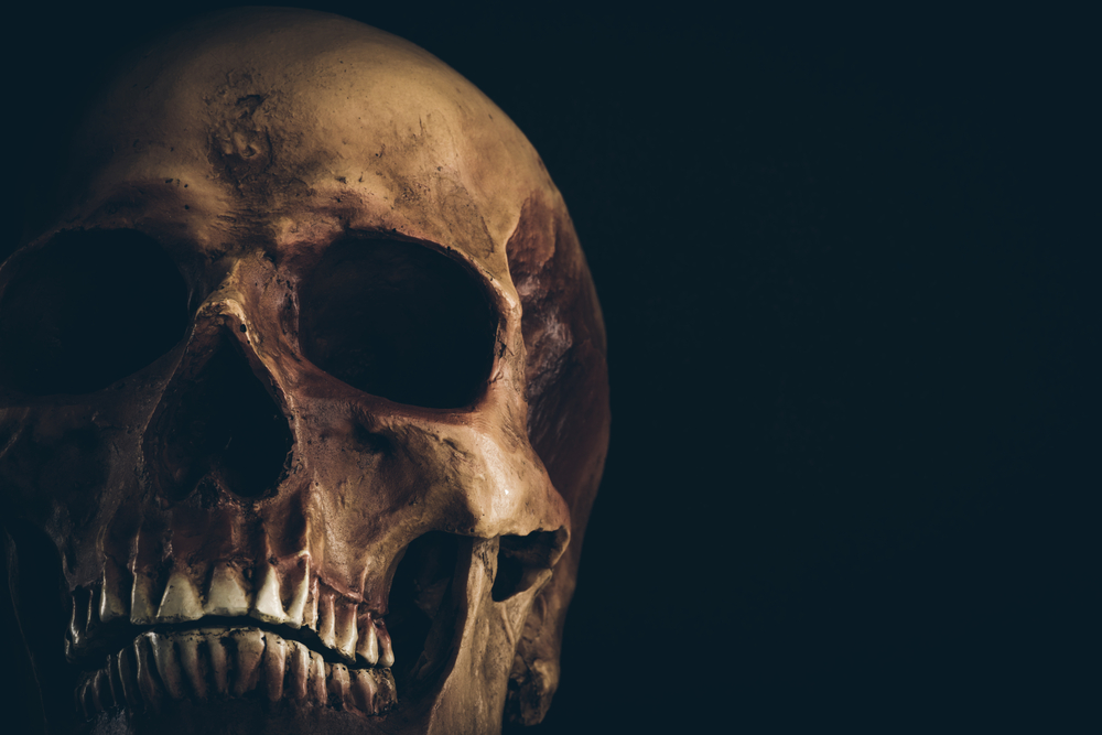 Dreams about Death - Skull image By Stokkete Royalty-free stock photo ID: 313461806